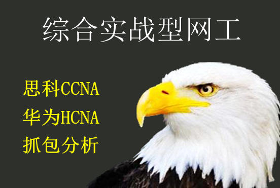 CCNA+HCNA+wireshark抓包综合网工技能提升套餐