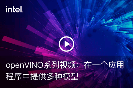 openVINO系列视频：在一个应用程序中提供多种模型