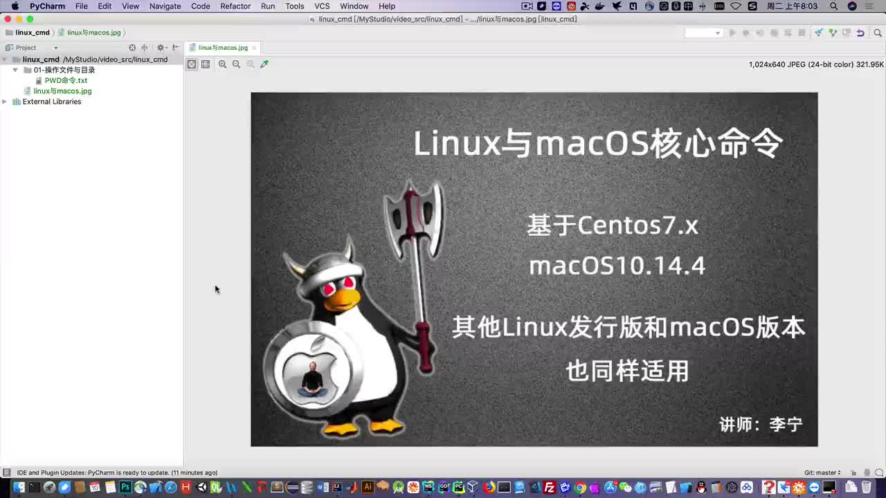 Linux与macOS核心命令详解视频课程