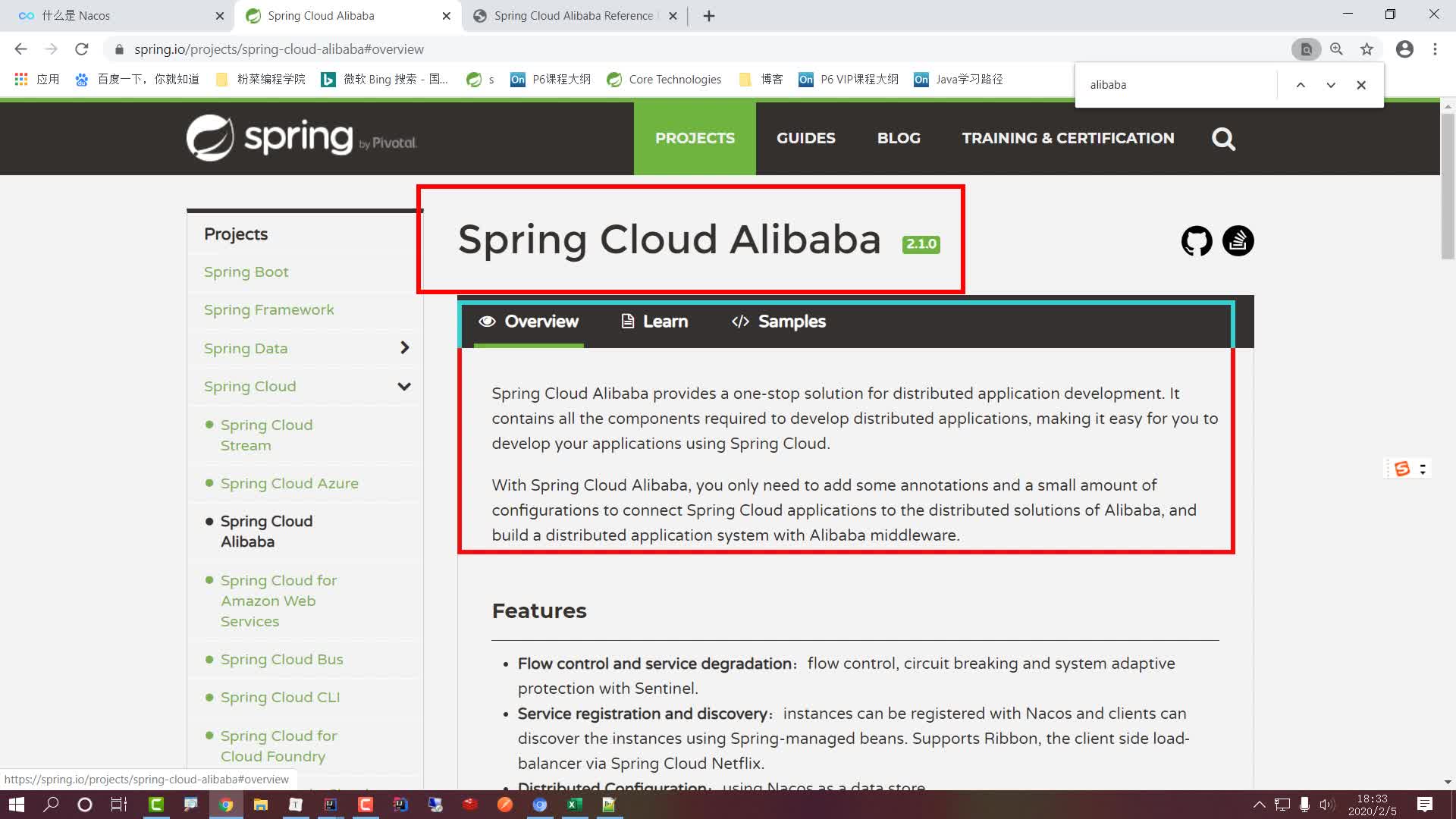Spring Cloud Alibaba Nacos 微服务架构实战