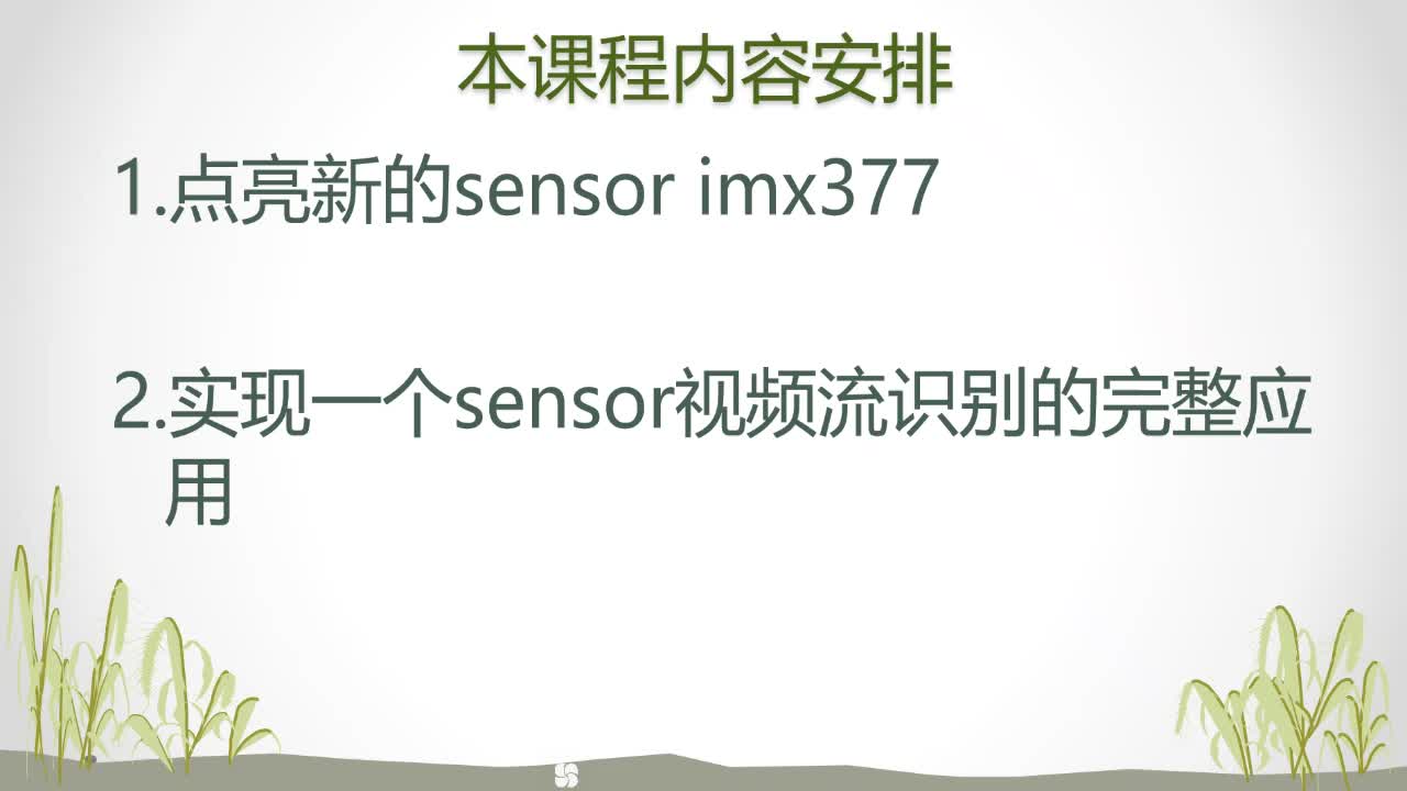 基于海思NNIE引擎实现sensor视频识别应用