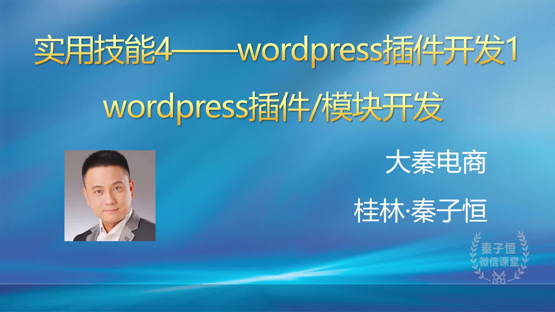 wordpress插件开发 wordpress模板开发 wp开发教程