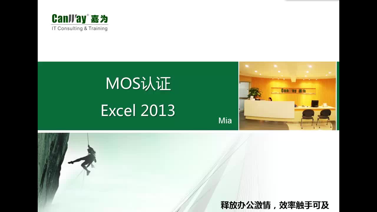 MOS专业级认证——Excel2013（代码：77-420）